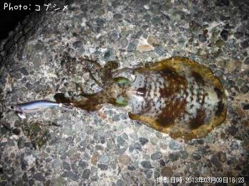 �����ꥤ��