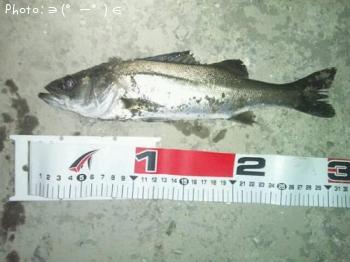 �����Х�