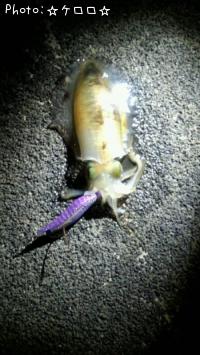 ¥¢¥ª¥ê¥¤¥«