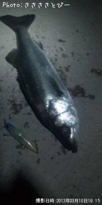 �����Х�