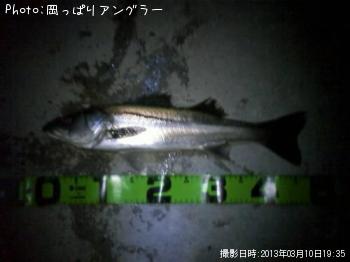 �����Х�