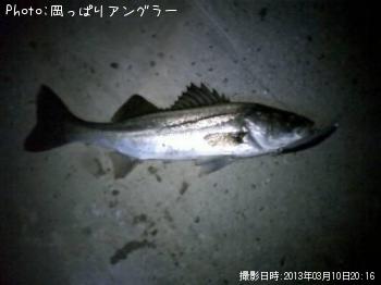 �����Х�