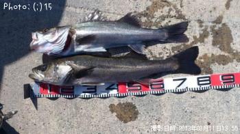 �����Ф�