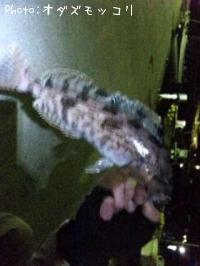 �����ʥ�