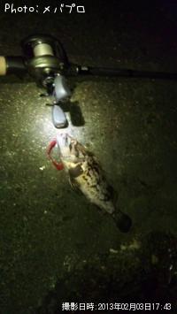 ���ӥ���