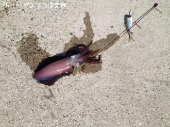 �����ꥤ��