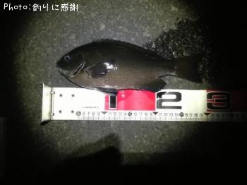 �����᥸��