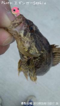 �����Υ���Х�