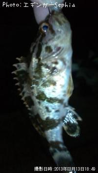 �����Υ���Х�