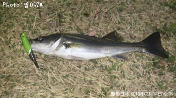 �����Х�