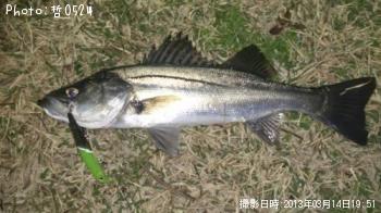 �����Х�