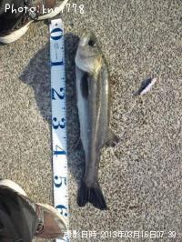 �����Х�