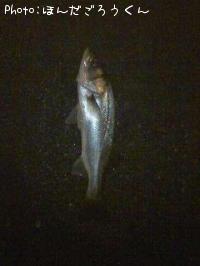 �����Х�