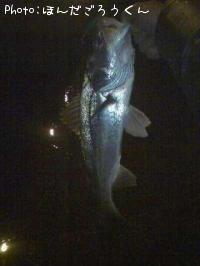 �����Х�