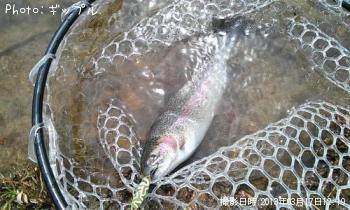 ¥ì¥¤¥ó¥Ü¡¼¥È¥é¥¦¥È