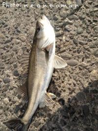 �����Х�