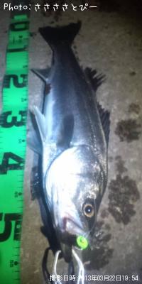 �����Х�