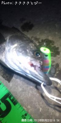 �����Х�