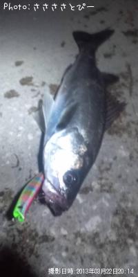 �����Х�