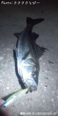 �����Х�