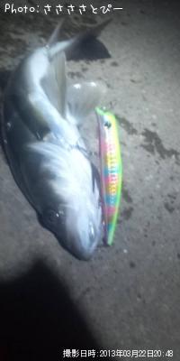 �����Х�