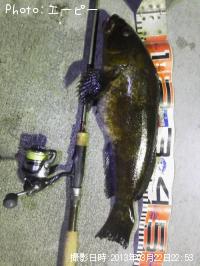 �����ʥ�