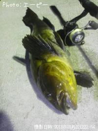 �����ʥ�