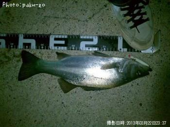 �ҥ饹����