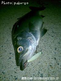 �ҥ饹����