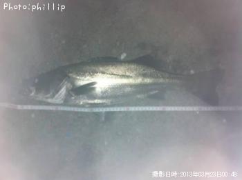 �����Х�