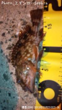 ���������ʥ������