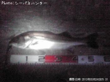 �����Х�