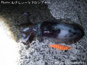 �����ꥤ��