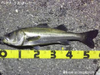 �����Х�