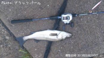 �����Х�