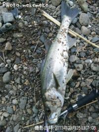 �����Х�