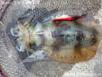 �����ꥤ��