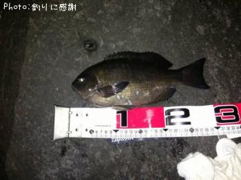 �����᥸��