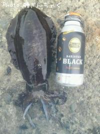 �����ꥤ��