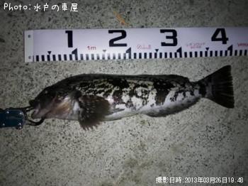 �����ʥ�