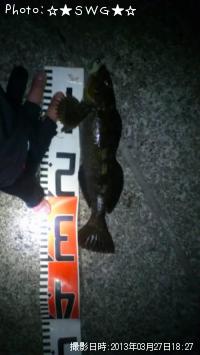 �����ʥ�