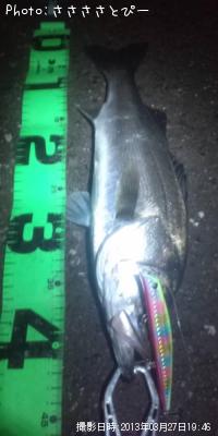 �����Х�