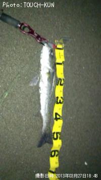 �����Х�