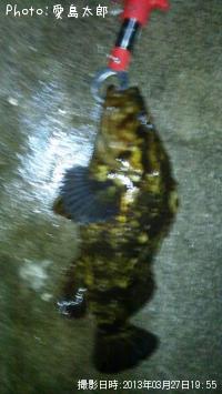 �٥å�������