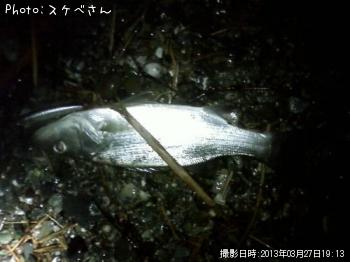 �����Х�