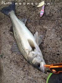 �����Х�