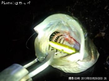 �����Х�