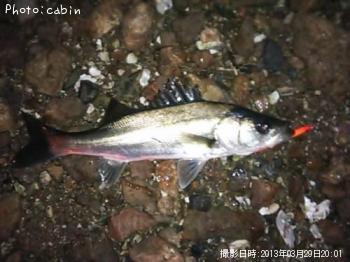 �����Х�