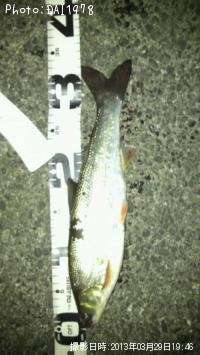 �����Х�