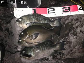 �����᥸��